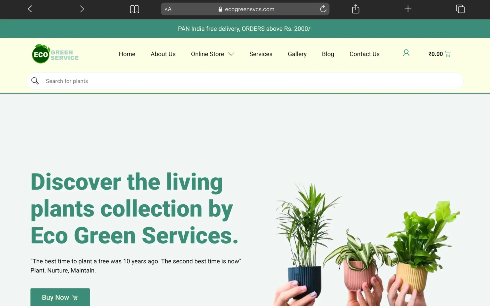 Supplied website screenshot of Eco Green Services shown in desktop and mobile layouts