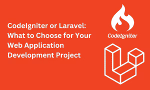 CodeIgniter or Laravel What to Choose for Your Web Application Development Project